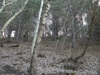 Monte Grosso